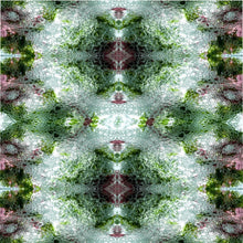 Load image into Gallery viewer, Seaweed 100% Polyester Duvet Cover