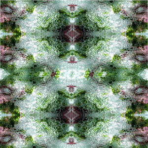 Seaweed 100% Polyester Duvet Cover